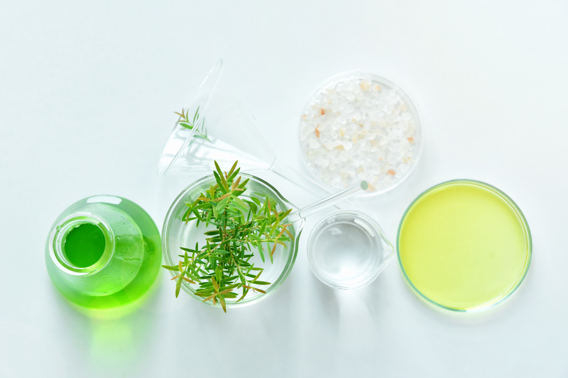 Natural organic botany and scientific glassware, Alternative herb medicine, Natural skin care cosmetic beauty products, Research and development concept.