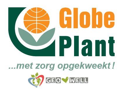 Globe-Plant-BV